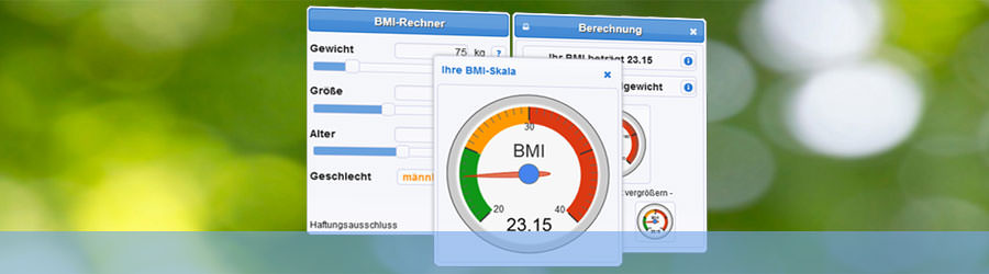 Bmi Rechner Wie Rechnet Man