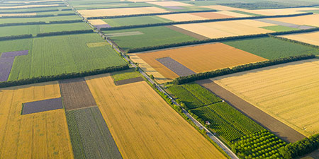 Flächen umrechnen